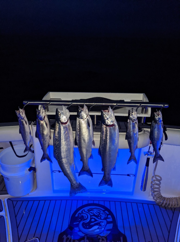 Night Fishing for Salmon in Michigan
